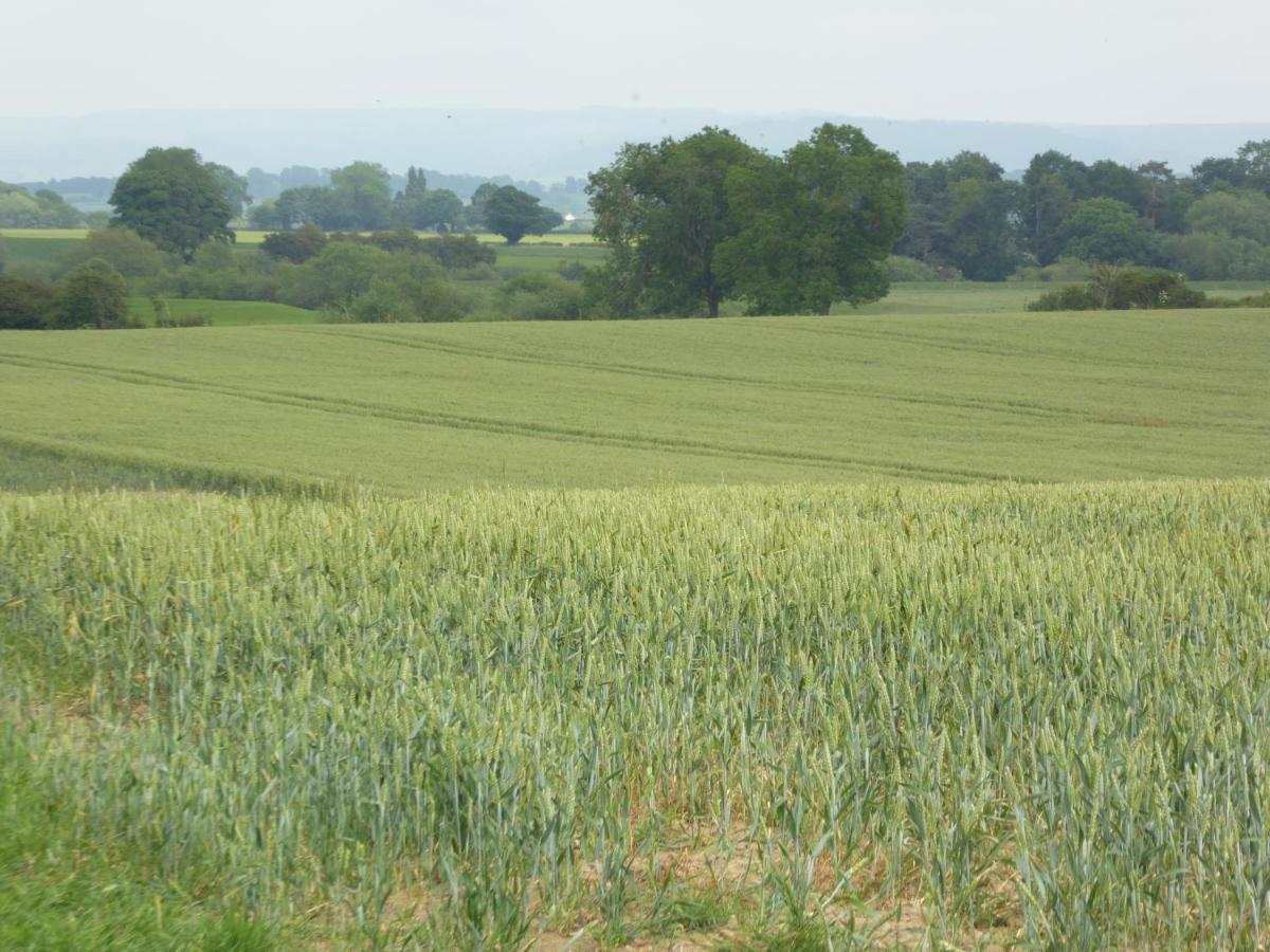 High Oak * Thirsk