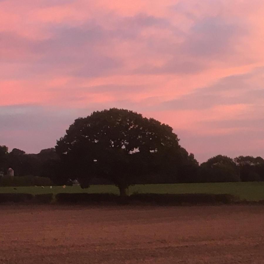 High Oak Thirsk