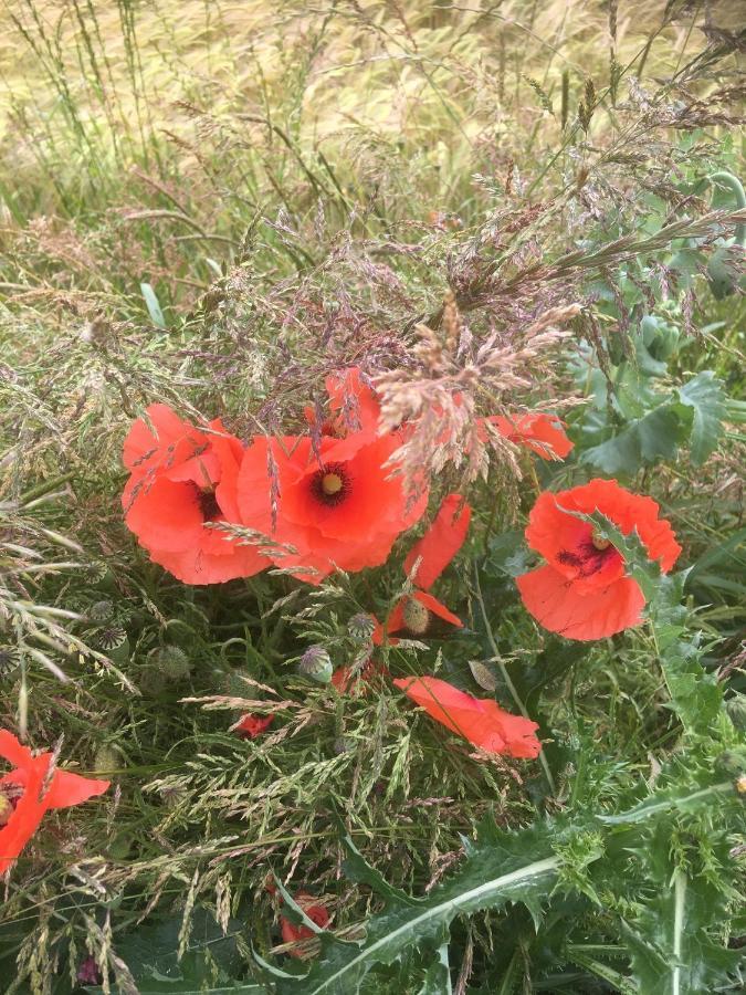 High Oak * Thirsk